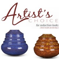 Artist's choice (A) Aardewerk